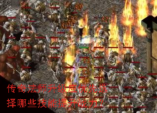 淨ʦӦѡЩս
