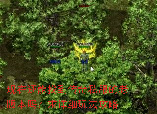 现在还能找到传奇私服的老版本吗?求详细玩法攻略 现在还能找到传奇私服的老版本吗?求详细玩法攻略
