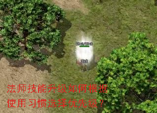 法师技能升级如何根据使用习惯选择优先级? 法师技能升级如何根据使用习惯选择优先级?