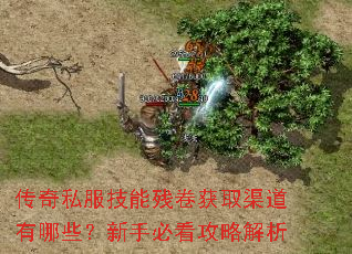 传奇私服技能残卷获取渠道有哪些?新手必看攻略解析 传奇私服技能残卷获取渠道有哪些?新手必看攻略解析
