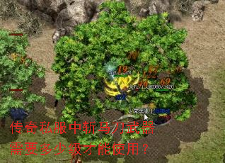 传奇私服中斩马刀武器需要多少级才能使用? 传奇私服中斩马刀武器需要多少级才能使用?