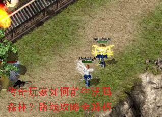 传奇玩家如何前往沃玛森林?路线攻略全解析 传奇玩家如何前往沃玛森林?路线攻略全解析