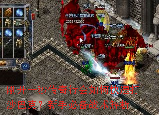 刚开一秒传奇行会如何快速打沙巴克?新手必备战术解析 刚开一秒传奇行会如何快速打沙巴克?新手必备战术解析