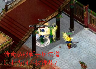 传奇私服新手玩法道职业为何不被推荐? 传奇私服新手玩法道职业为何不被推荐?