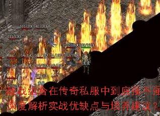 战战组合在传奇私服中到底强不强?深度解析实战优缺点与培养建议? 战战组合在传奇私服中到底强不强?深度解析实战优缺点与培养建议?