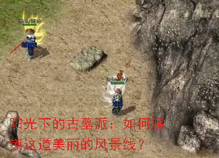 阳光下的古墓派:如何解锁这道美丽的风景线? 阳光下的古墓派:如何解锁这道美丽的风景线?