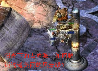 阳光下的古墓派:如何解锁这道美丽的风景线? 阳光下的古墓派:如何解锁这道美丽的风景线?