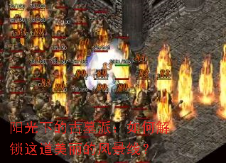 阳光下的古墓派:如何解锁这道美丽的风景线? 阳光下的古墓派:如何解锁这道美丽的风景线?