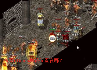 sfbossˢλģ