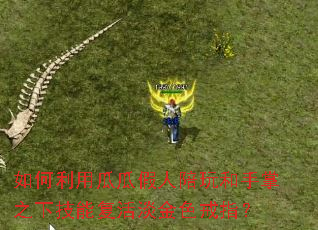 如何利用瓜瓜假人陪玩和手掌之下技能复活淡金色戒指? 如何利用瓜瓜假人陪玩和手掌之下技能复活淡金色戒指?