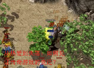 从热爱到失落:如何见证传奇游戏的变迁? 从热爱到失落:如何见证传奇游戏的变迁?