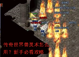 传奇世界兽灵术怎么用?新手必看攻略 传奇世界兽灵术怎么用?新手必看攻略