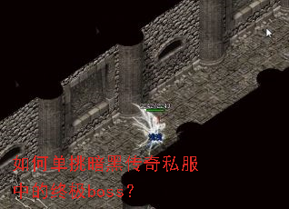 如何单挑暗黑传奇私服中的终极boss? 如何单挑暗黑传奇私服中的终极boss?