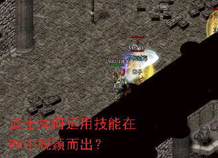 道士如何运用技能在PK中脱颖而出? 道士如何运用技能在PK中脱颖而出?