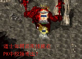 道士如何运用技能在PK中脱颖而出? 道士如何运用技能在PK中脱颖而出?