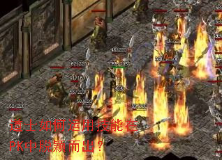 道士如何运用技能在PK中脱颖而出? 道士如何运用技能在PK中脱颖而出?