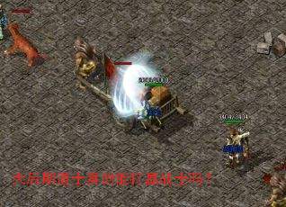 大后期道士真的能打赢战士吗? 大后期道士真的能打赢战士吗?