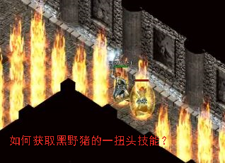 如何获取黑野猪的一扭头技能? 如何获取黑野猪的一扭头技能?