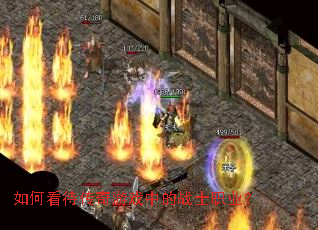 如何看待传奇游戏中的战士职业? 如何看待传奇游戏中的战士职业?
