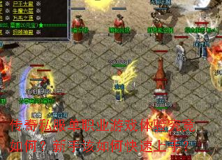 传奇私服单职业游戏体验究竟如何?新手该如何快速上手? 传奇私服单职业游戏体验究竟如何?新手该如何快速上手?