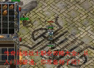 传奇私服战士职业攻略大全:从入门到精通,你准备好了吗? 传奇私服战士职业攻略大全:从入门到精通,你准备好了吗?