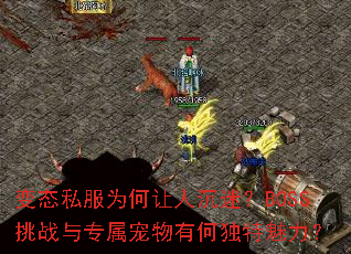 ̬˽Ϊ˳ԣBOSSսרкζ