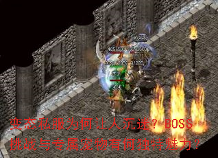 ̬˽Ϊ˳ԣBOSSսרкζ