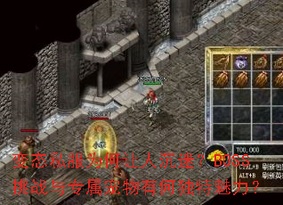 ̬˽Ϊ˳ԣBOSSսרкζ