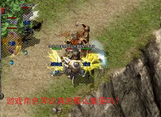 游戏角色等级真的那么重要吗? 游戏角色等级真的那么重要吗?