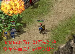 传奇GM必看:如何精准检测角色血量与MP百分比? 传奇GM必看:如何精准检测角色血量与MP百分比?