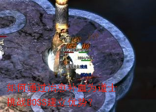 ���ͨ��������ѪΪ��ʿ��սBOSS�������ƣ�