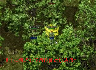 道士如何巧妙运用技能对抗法师? 道士如何巧妙运用技能对抗法师?