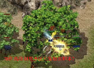 ��θ�Ч���ÿ���Ԫ���齱�ű���