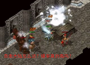 自由大陆怎么进?爆率真的高吗? 自由大陆怎么进?爆率真的高吗?