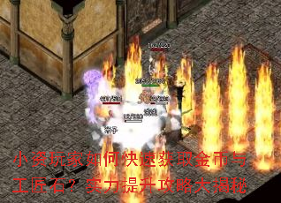 С�������ο��ٻ�ȡ����빤��ʯ��ʵ���������Դ����