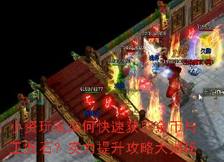 С�������ο��ٻ�ȡ����빤��ʯ��ʵ���������Դ����