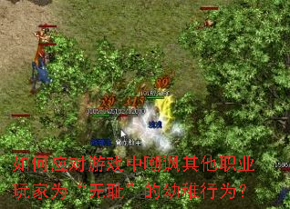 ���Ӧ����Ϸ�г�������ְҵ���Ϊ���޳ܡ���������Ϊ��