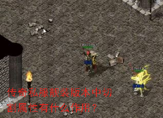 ����˽����װ�汾���и�������ʲô���ã�