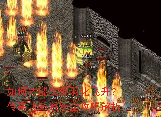 ��β���ʵ���𻯷������������ϵͳȫ���Խ���