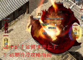 սʿ������ο������֣����ڽ׶ι���ָ��