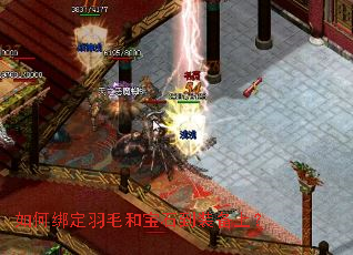 ��ΰ���ë�ͱ�ʯ��װ���ϣ�