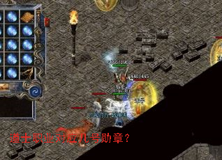 ��ʿְҵ��Ӧ����ѫ�£�