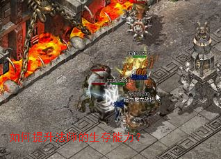 ���������ʦ������������