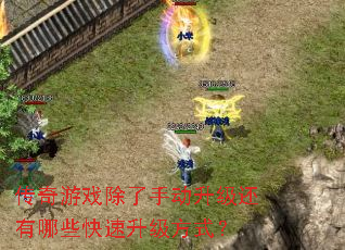 ������Ϸ�����ֶ�����������Щ����������ʽ��