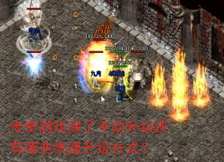 ������Ϸ�����ֶ�����������Щ����������ʽ��