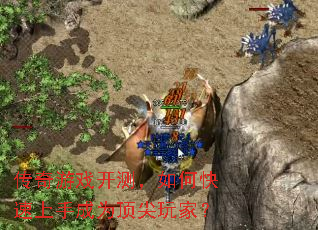 ������Ϸ���⣬��ο������ֳ�Ϊ������ң�