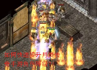 如何快速提升月灵传奇手游角色等级? 如何快速提升月灵传奇手游角色等级?