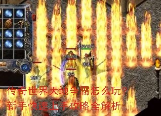 �����������������ô�棿���ֿ������ֹ���ȫ����