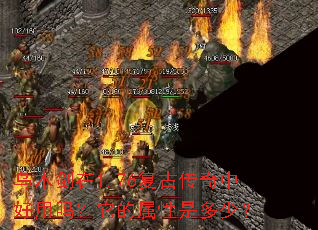 ��ľ����1.76���Ŵ����к��������������Ƕ��٣�