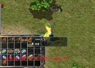 ��ʿ�����������Щʵ�ü��ɣ�